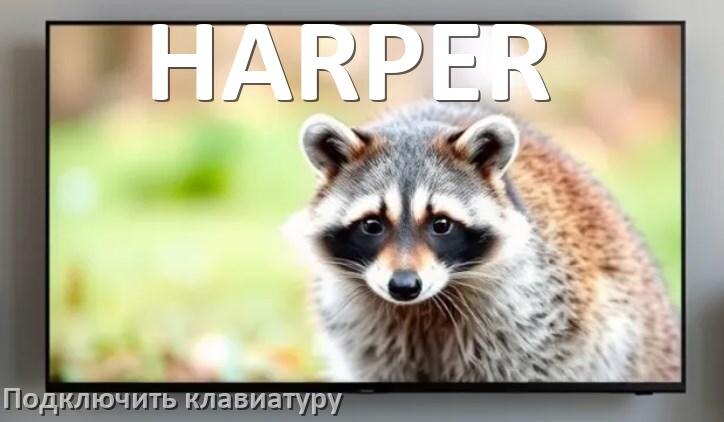 Как подключить клавиатуру к телевизору HARPER через Bluetooth и USB