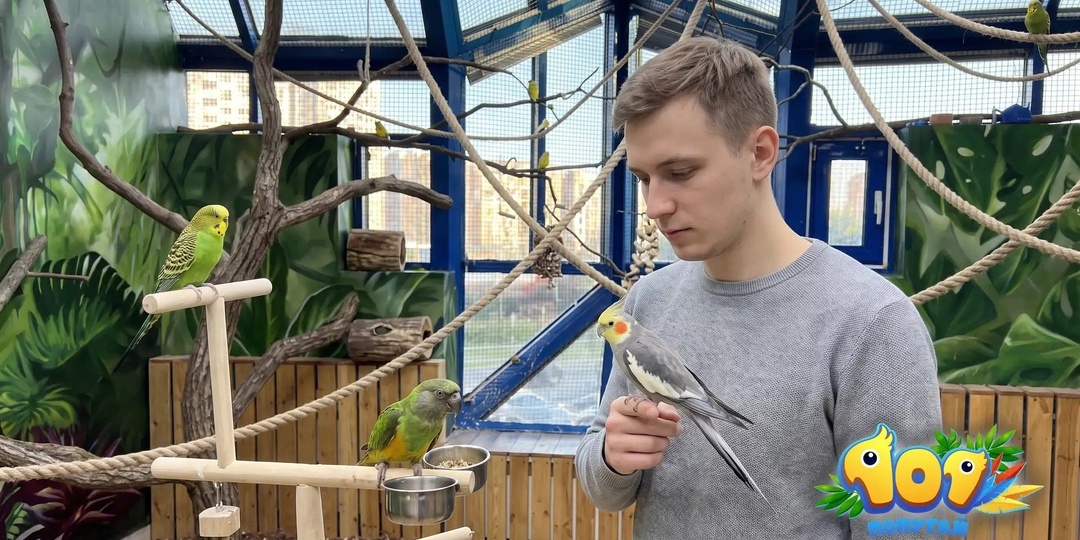 «Птенец готов, забирайте сегодня» — это не про заботу