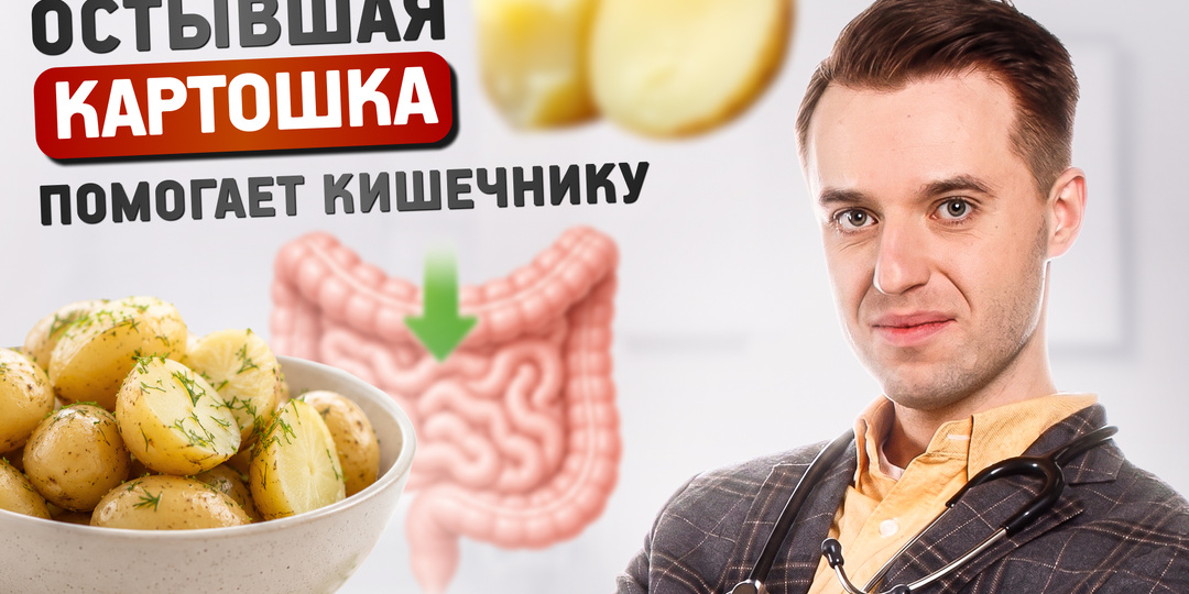Резистентный крахмал: как остывшая картошка помогает кишечнику