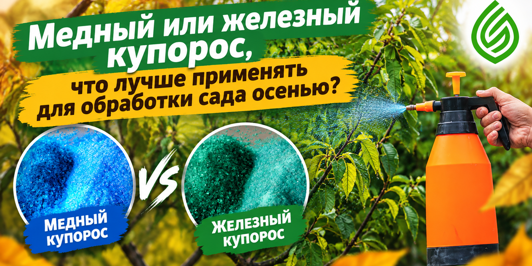 Медный или железный купорос, что лучше применять для обработки сада осенью