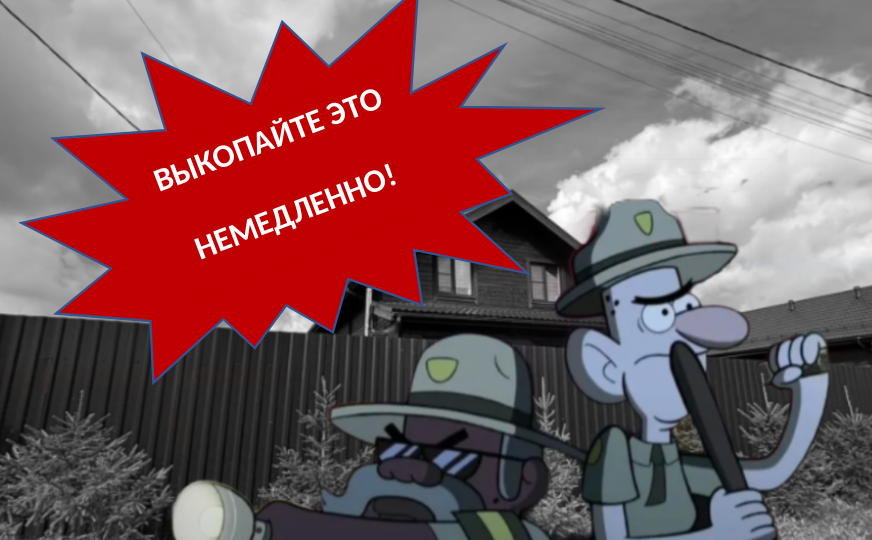 Эй, городской! Ошибки начинающих садовников, из-за которых приходится переделывать сад 10 лет спустя