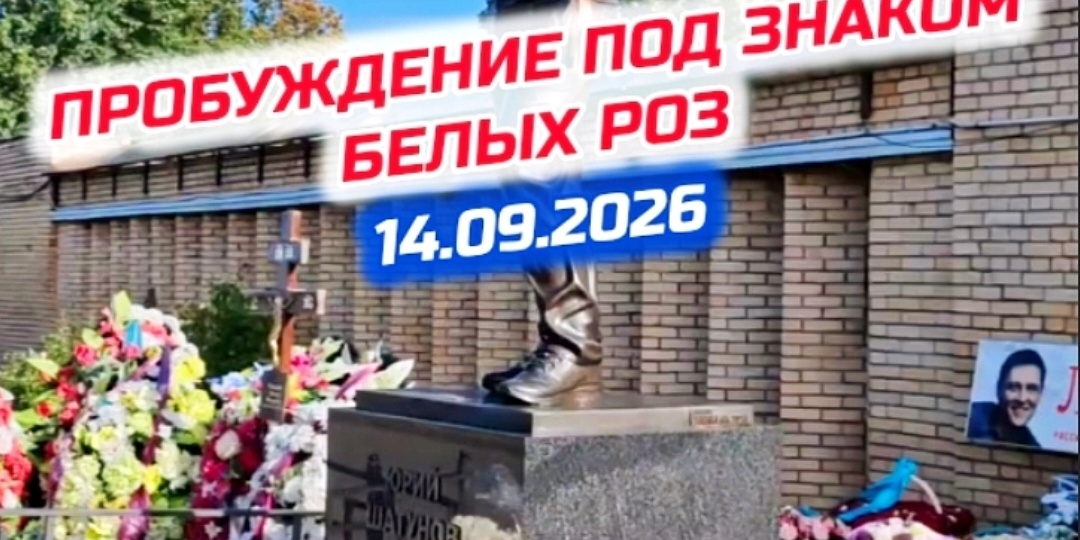 Утренний вид: что сейчас происходит у могилы Юрия Шатунова #shorts #шатунов #белыерозы #ласковыймай