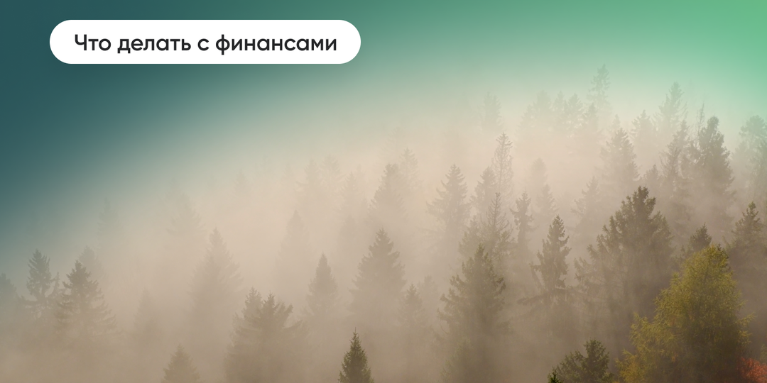 Куда вкладывать деньги, если ключевая ставка — 14%?