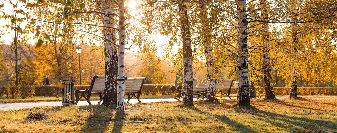 Тайная Москва: 10 секретных локаций и уютных книжных для осенних прогулок