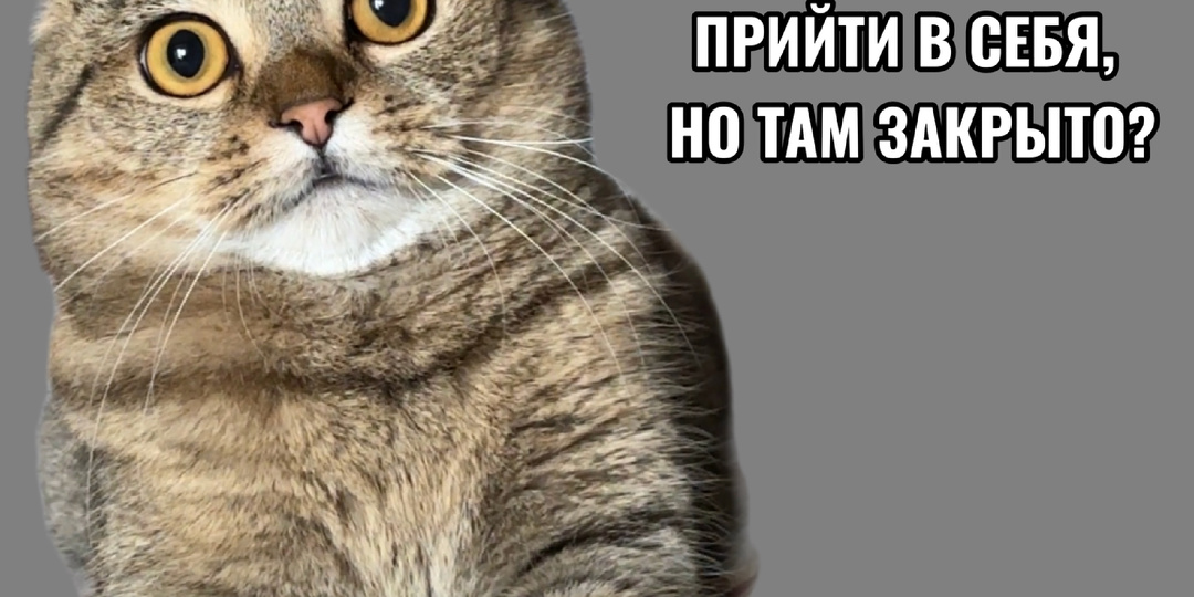 ПАмАгите😂