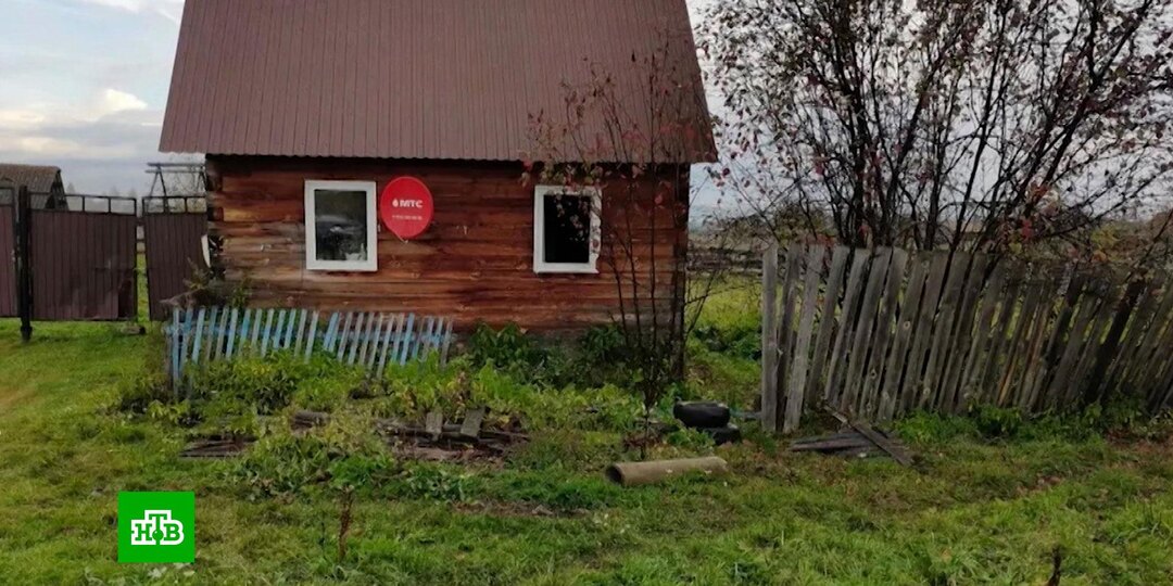 Медведь убил женщину в Красноярском крае