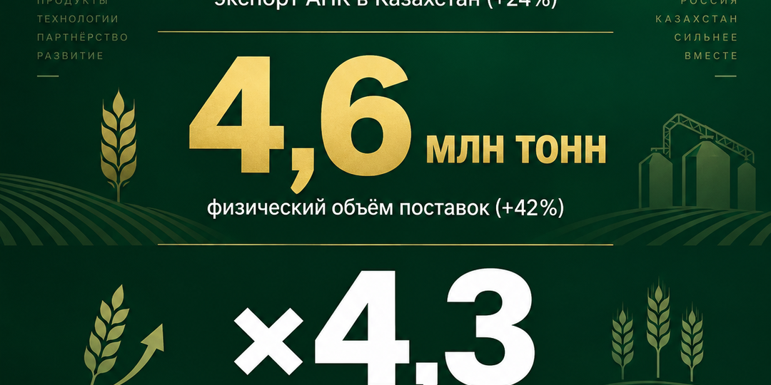 Экспорт пшеницы из России вырос в 4,3 раза. Почему Запад молчит об этом?