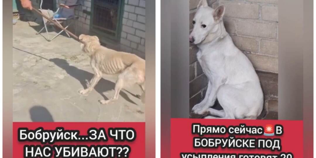 За что нас убивают?