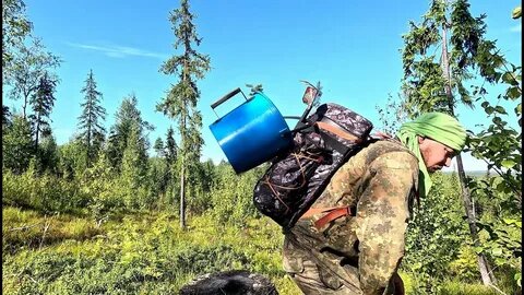 Где-то под г.Киренск на р.Лена медведь напал на троих сборщиков ягод. Убежать удалось лишь одному.