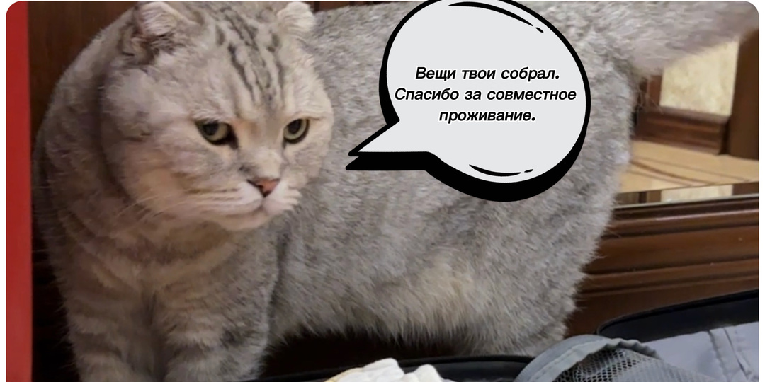 Я не запрещаю😅