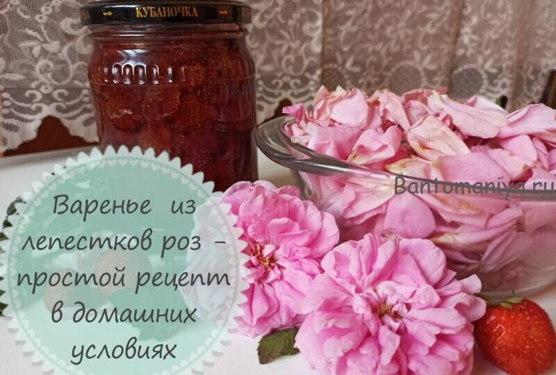 Как варить варенье из лепестков чайной розы — простой рецепт в домашних условиях