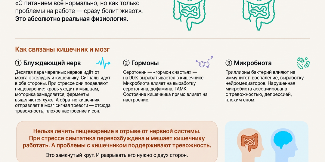 Кишечник и мозг: почему стресс бьёт по пищеварению