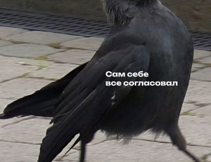 ✈️ Из аэропорта — в военкомат: как новый закон и реестр повесток закрывают выезд за границу