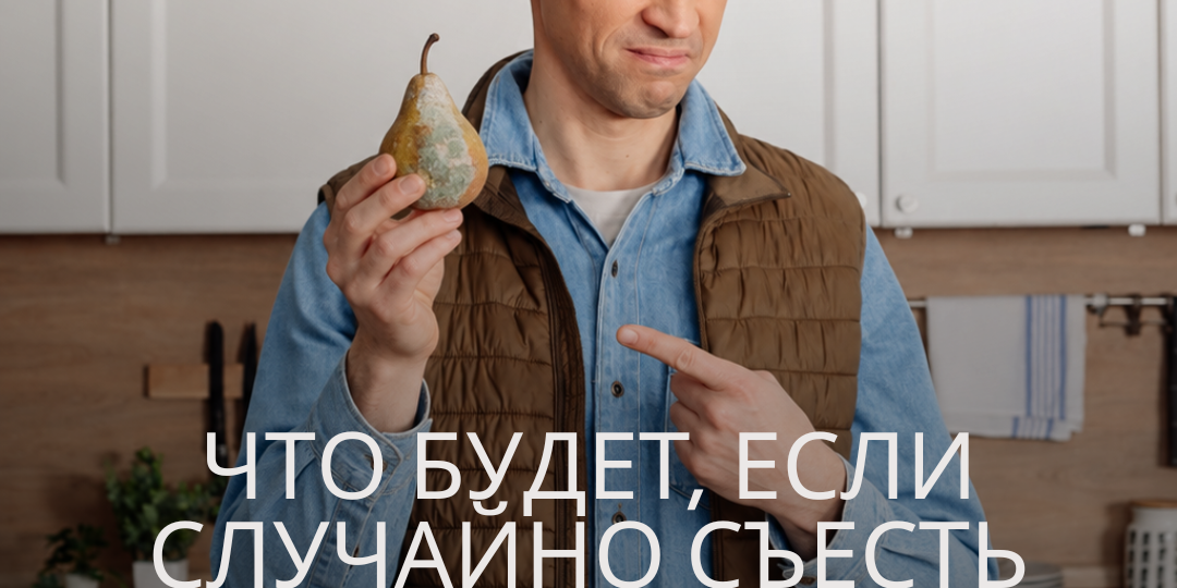 Что будет, если случайно съесть плесень?