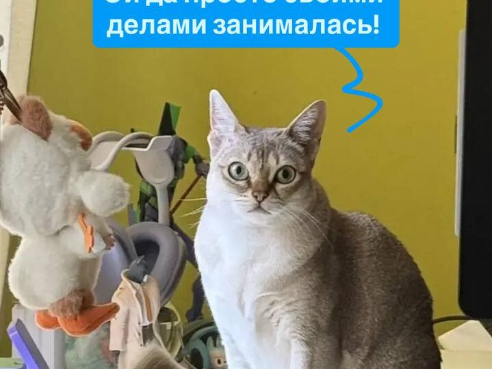 Деловая ночная колбаса