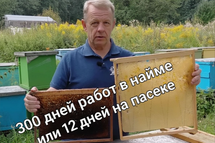 Как я сократил работу в найме с 300 дней, на работу с пасекой на сотке до 12 дней и получаю больше