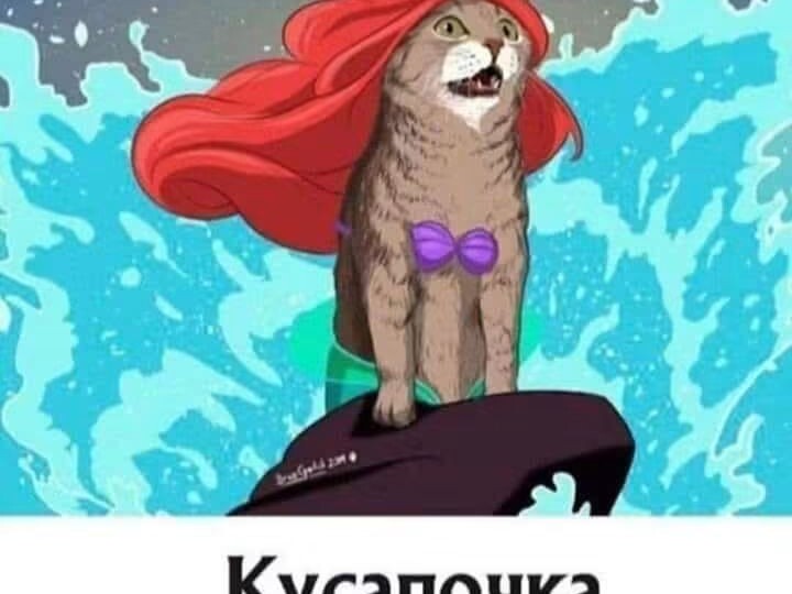 Бешени кольготки