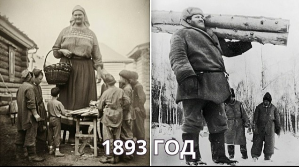 Великаны, которых стёрли из истории — лесорубы Сибири