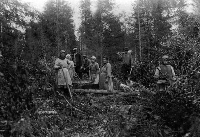 «Остров смерти»: как в 1933 году СССР отправил 6000 человек на верную смерть в сибирскую тайгу