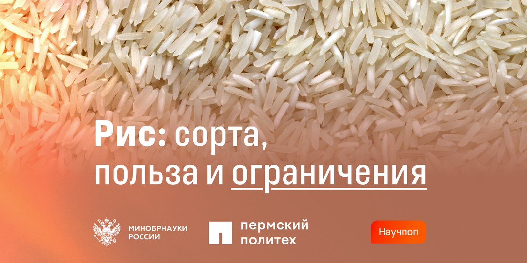 Рис для здоровья: какие сорта полезны, а какие стоит ограничить