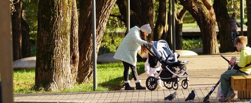 Ясная погода еще задержится в Вологде