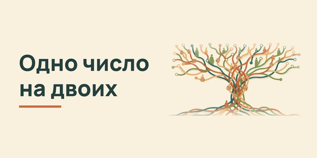 Дата рождения совпадает с родителем что значит: шесть шагов сверки