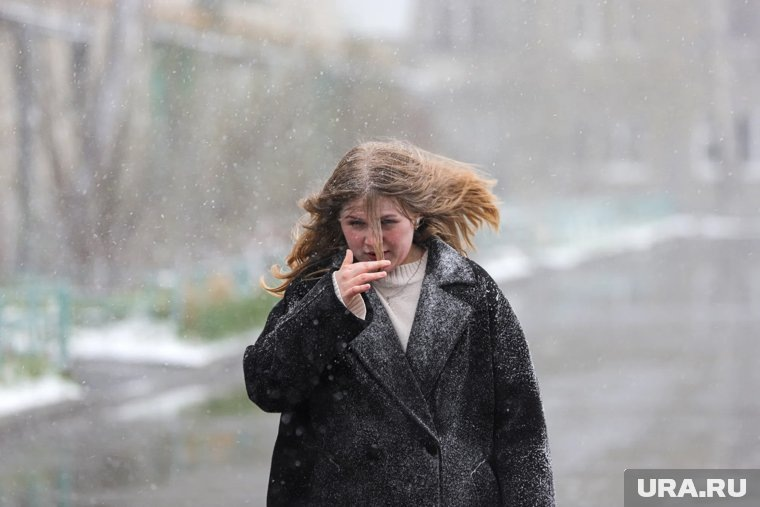 Почему грядущая зима в России станет аномально теплой: стоит ли покупать пуховик