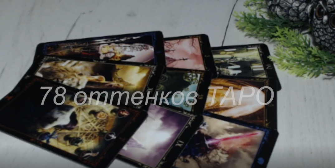 Кому не спиться в полнолуние