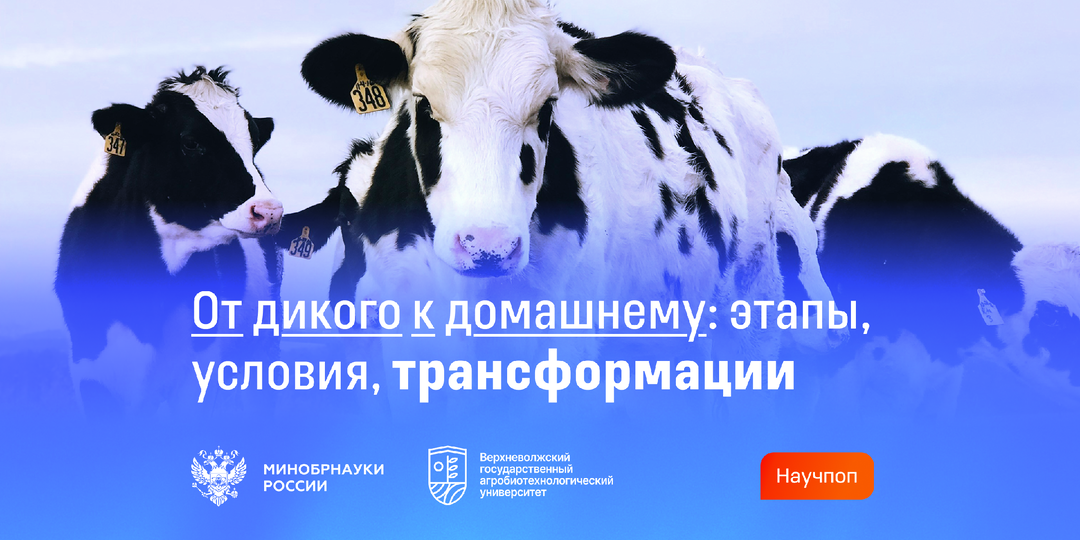 Одомашнивание животных: история, критерии отбора, биологические изменения