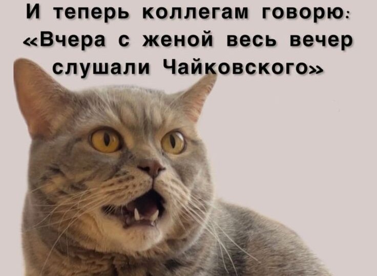 Веселая подборка мемов