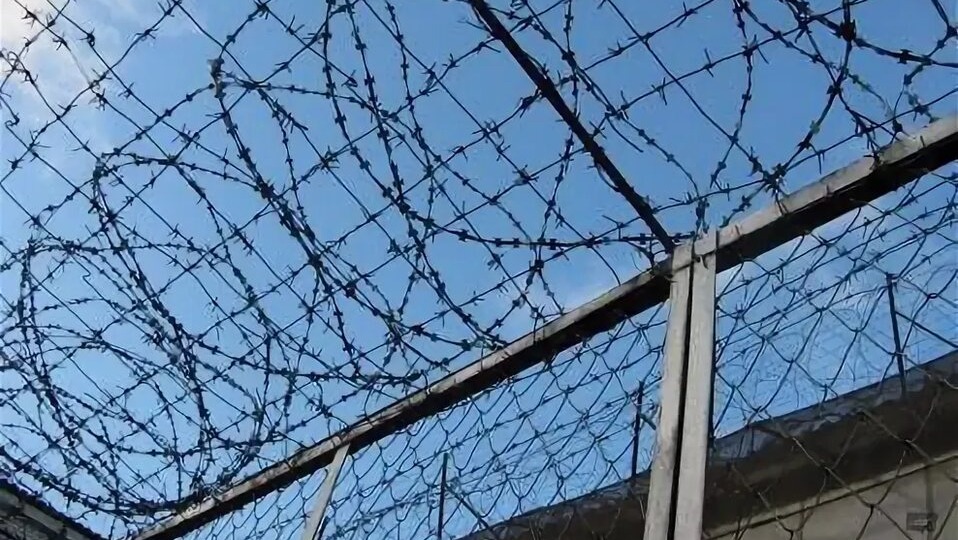 Правда или хайп. Где на самом деле супруг