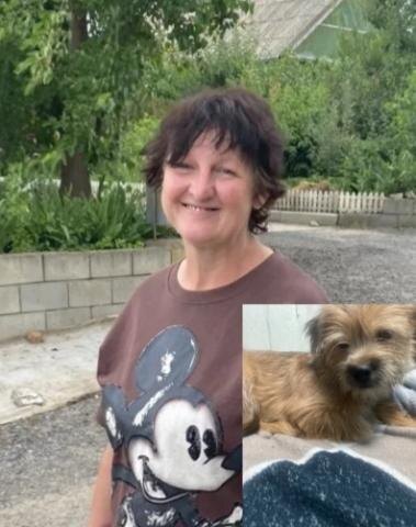 В Волгограде пропала 43-летняя Анастасия Лопарева с маленькой рыжей собачкой