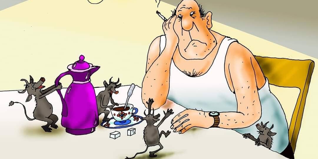 Кандидат наук, который рисовал кур и покорил весь мир. Смешные карткатуры