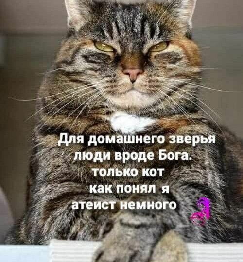 Забавные мемы новая подборка
