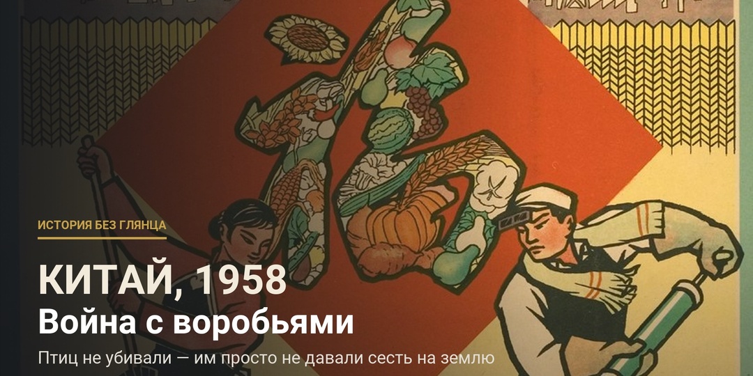 Страна три дня била в кастрюли, чтобы птицы не сели на землю. Воробьи падали замертво — а через год начался голод