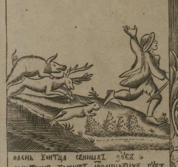 Олень боитца свиных зуб