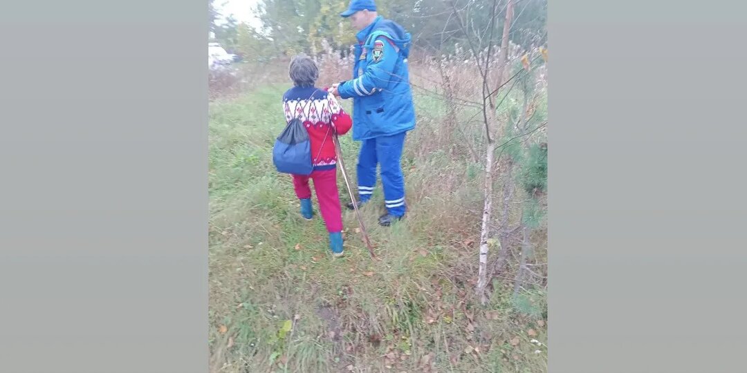 Спасатели прочесали два леса в поисках двух женщин в Ленобласти