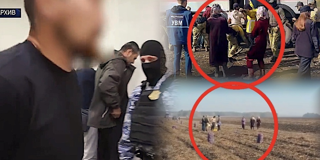 Теперь только депортация: Как приезжие убегали от полиции по полю, но у них ничего не вышло
