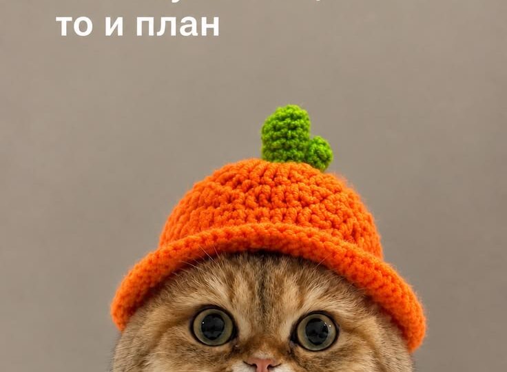 Веселые мемы свежая подборка