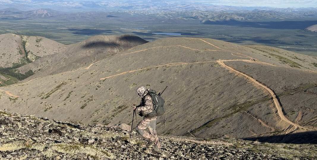 В поисках толсторогов