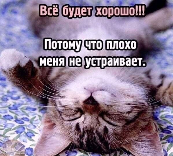 Прикольные мемы новая подборка