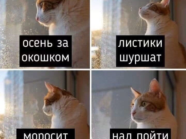 Доска грусти