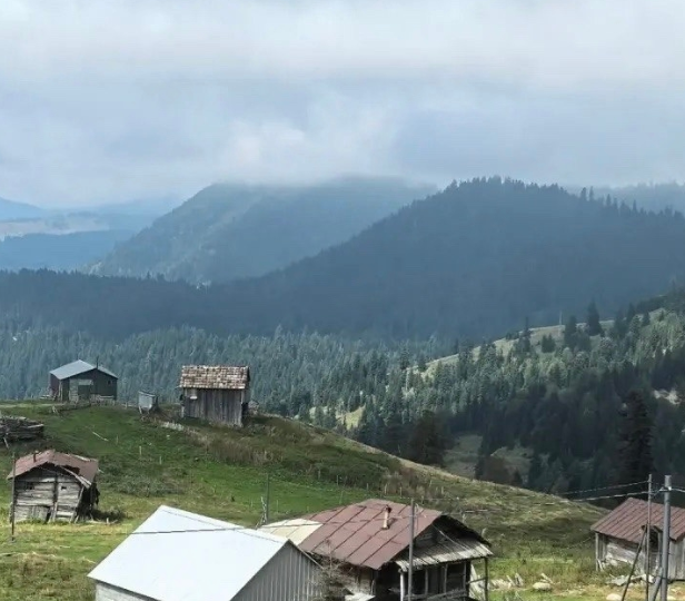 Аджарская кухня - без такой пищи в горах не выжить