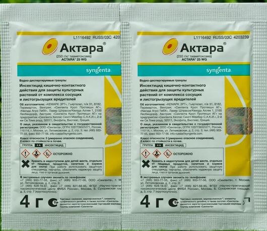 Полив Актарой под корень: разбираем вопрос подписчика без иллюзий