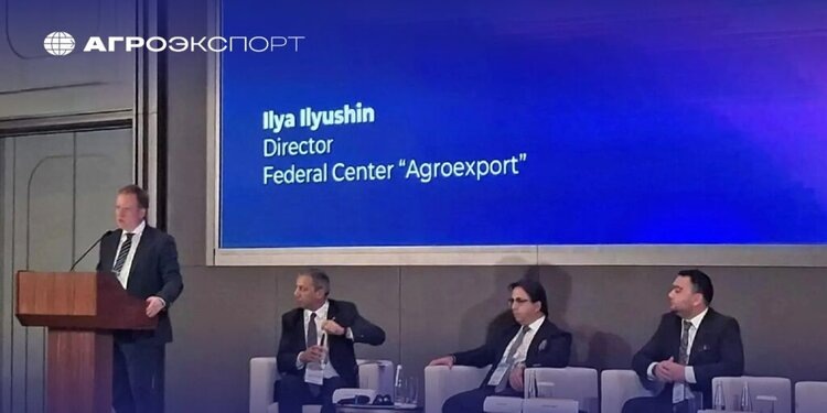 Россия может существенно увеличить производство муки, если потребуется внешним рынкам
