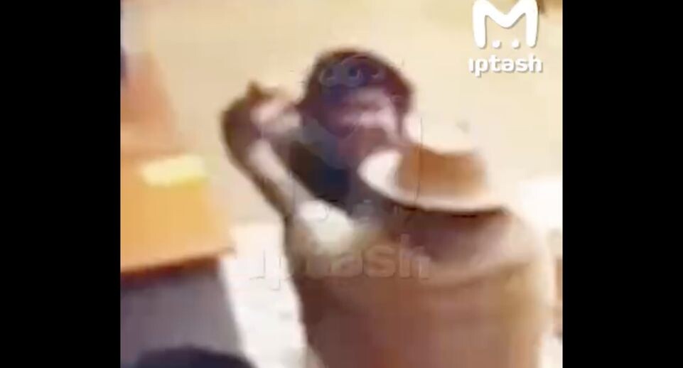 Игры 18+ и «снятие ауры»: директор и педагог подрались в сельском ДК под Нижнекамском
