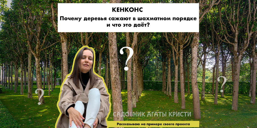 Кенконс: почему деревья сажают в шахматном порядке и что это даёт?
