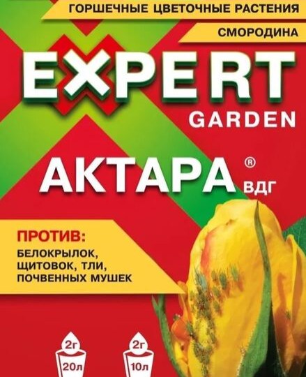 Актара под корень весной или осенью: почему дело не только в сокодвижении. Продолжение разговора о поливе «Актарой» под корень