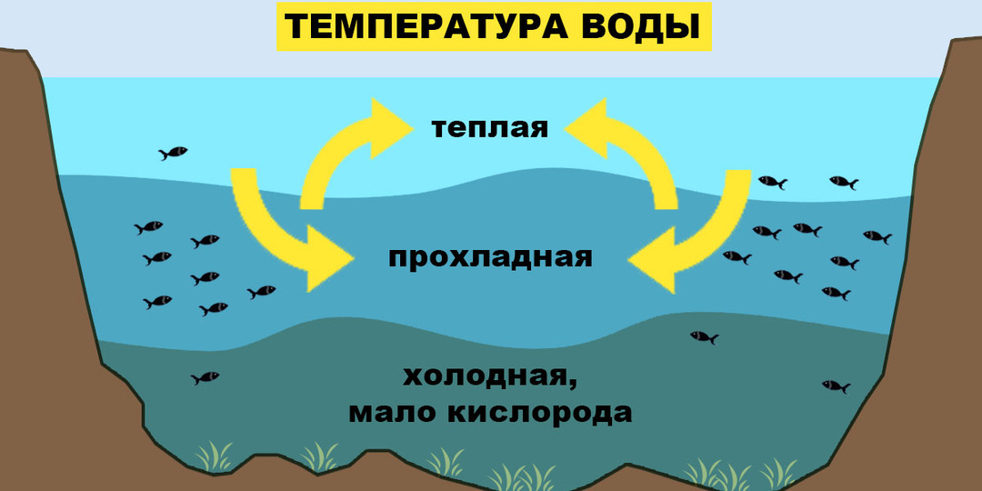 Первые холодные ночи: что происходит с рыбой к утру