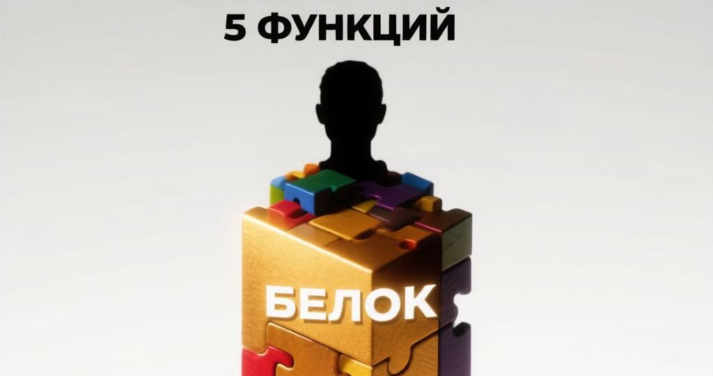 Зачем организму белок: 5 функций — от мышц до иммунитета